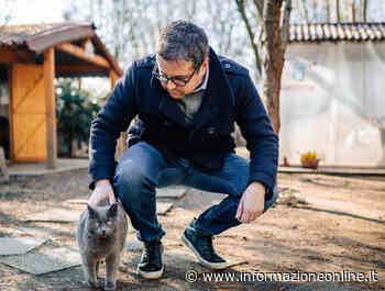 FESTA DEL GATTO. Il sindaco di Gallarate va a fare gli auguri a Gattaland - InformazioneOnline.it