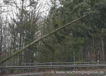 "Ignatz" sorgte für Schäden - Cochem / Zell - WochenSpiegel