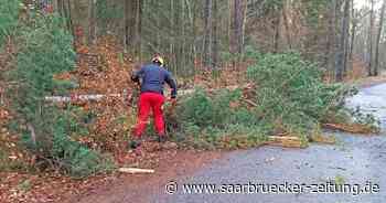 Zwei umgestürzte Bäume in Homburg und Bexbach, keine großen Stumrscchäden - Saarbrücker Zeitung