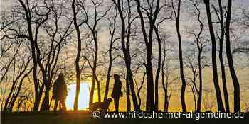 Jäger aus Kreis Hildesheim warnt: Bei Sturm nicht in den Wald gehen - www.hildesheimer-allgemeine.de