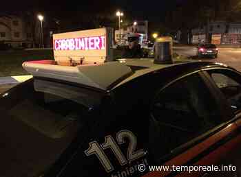 Formia / Controlli a tappetto dei Carabinieri con le unità cinofile, scattano anche due arresti - Temporeale Quotidiano