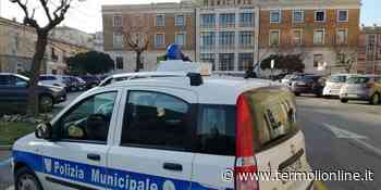 Termoli: Automobilista multato picchia un Vigile urbano - Termoli Online