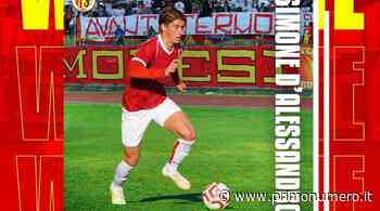 Termoli, altro rinforzo dal mercato: firma D'Alessandro - Primonumero