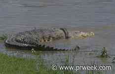 The Vaccine Project Newsletter: All tired out