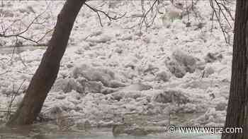 Water levels rise at Buffalo Creek, Cayuga Creek; residents on alert - WGRZ.com