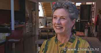 NZ's top architecture award won by a woman for the first time - 1News