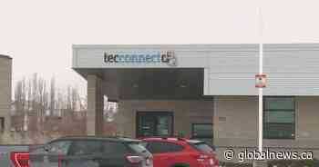 Lethbridge organization supporting Black-led businesses with help of federal funding - Global News