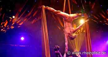 Show „Palazzo“: Bis Ende März verlängert - Mannheim - Rheinpfalz.de