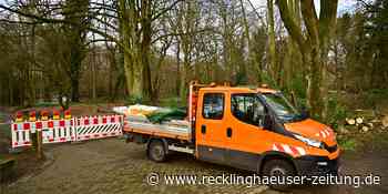Sturm in Marl: Feuerwehr räumt auf der Bergstraße auf - Recklinghäuser Zeitung