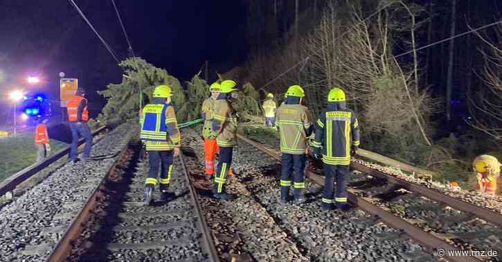 Sturmtief "Zeynep":  Schäden in der Region und im Südwesten