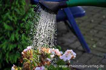 Neues Anreizprogramm zur Verbesserung der Regenwasserbewirtschaftung in Griesheim-Mitte - Rhein Main Verlag