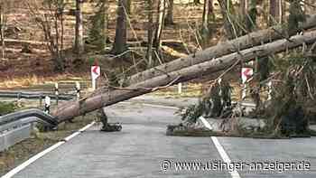 Sturm sorgt für Stromausfall und viele umgestürzte Bäume | Usingen - Usinger Anzeiger