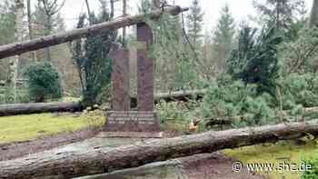 Geschlossen bis Montag: Bäume umgestürzt: Größere Sturmschäden auf dem Friedhof in Glinde | shz.de - shz.de