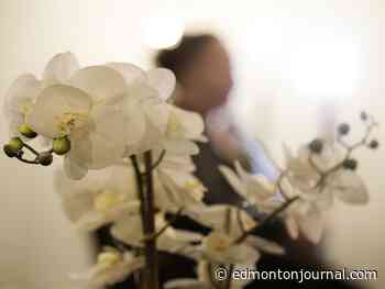 Opinion: Clare's Law has flaws but it's a vital tool for domestic abuse victims