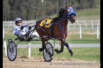 Lacombe backs horse racing track's bid to expand gaming options – Red Deer Advocate - Red Deer Advocate