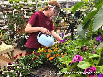 Best practice to propagate perennials - Red Deer Advocate