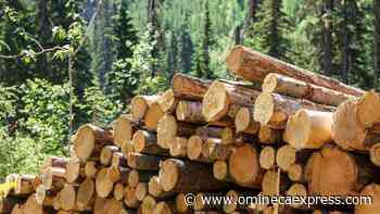 Construction of Fort St. James mill site 'negatively impacted' by pandemic – Vanderhoof Omineca Express - Omineca Express