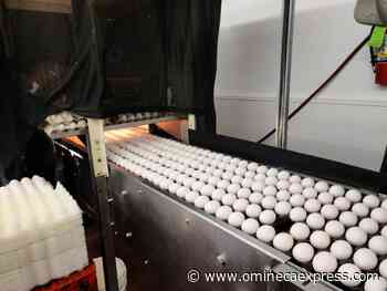 Egg-normous: Daybreak Farms eyes multi-million dollar modernization project - Vanderhoof Omineca Express