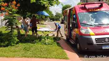 Homem cai da escada enquanto podava árvore e fica ferido - CGN