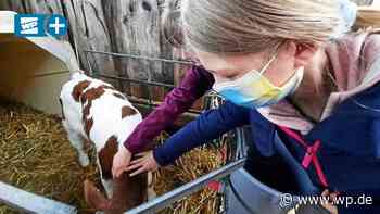 Extra-Zeit Siegen:Damit Kinder nicht auf der Strecke bleiben - Westfalenpost