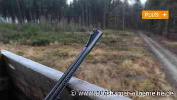 Jägerin erschießt Katze: Frau darf aktuell nicht mehr jagen - Augsburger Allgemeine