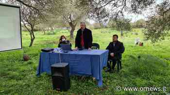 Finanziata la Bauladu-Paulilatino. Opera strategica per aziende e bellezze culturali - ORnews