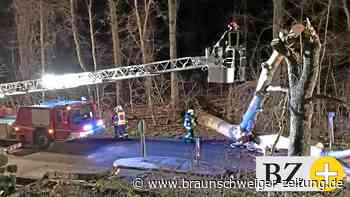 Sturm Zeynep lässt im Kreis Peine Bäume auf Gebäude krachen
