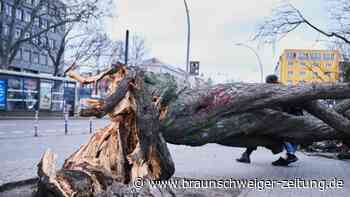 Orkan mit Toten und viel Schaden - Und erneut naht Sturm