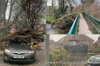 Picture gallery of Storm Eunice aftermath in south east London