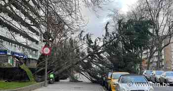 Brandweerzone Antwerpen krijgt 1.050 oproepen: “We bellen mensen nu actief op om schade te kunnen bepalen” - Het Laatste Nieuws