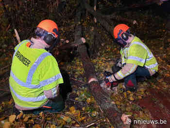 Stormschade in provincie Antwerpen (2) | Nieuws dat je raakt. 24/24u – Nnieuws.be - Nnieuws.be