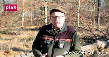 Kiesabbau in Raunheim: Fast alle Bäume sind geschädigt - Echo Online