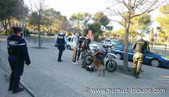Jacou : opération anti-délinquance au Parc Bocaud - Hérault-Tribune
