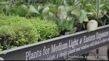 Grow with KARE: Winter interest plants