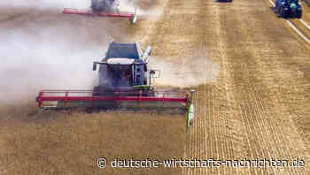 Krieg in der Ukraine wird Weizenkrise in Europa auslösen