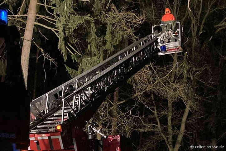 Sturmtief Zeynep über Celle – 64 Unwettereinsätze in 11 Stunden! - Celler Presse