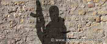 Ukraine: les armes envoyées par le Canada sont arrivées