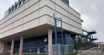 Edmonton extreme weather response activated ahead of cold conditions - Globalnews.ca