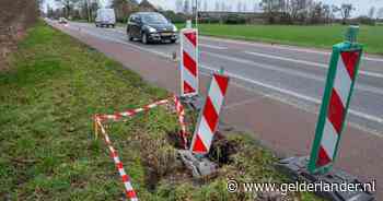 Nederasseltse bever ondergraaft provinciale weg, die dreigt in te storten - De Gelderlander