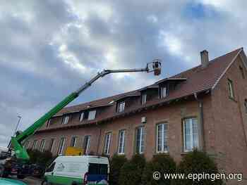 ▷ Sturmschaden? - Eppingen.org