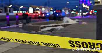 ASIRT investigating after Calgary police fatally shoot man who allegedly injured K9, assaulted person