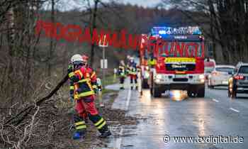 ard-programmaenderung-orkan-sturmtief-orkan-zeynep-gefaehrlich - TV Digital