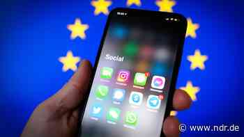 Digital Services Act: "Total krasses Vorhaben" - NDR.de