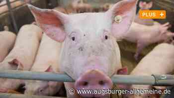 Das sagen Landwirte aus der Region zu Özdemirs Landwirtschaftsreform - Augsburger Allgemeine