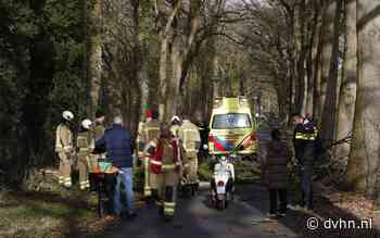 Fietser rijdt met e-bike tegen omgewaaide boom in Emmen en raakt zwaargewond - Dagblad van het Noorden