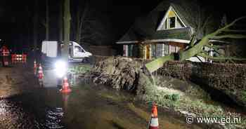 Boom waait om in Best: veel waterschade door gesprongen leiding - Eindhovens Dagblad