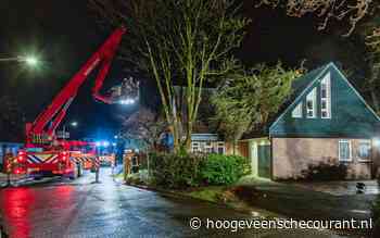 Boom verwoest dak van woning aan het Lage Holt in Hoogeveen. - hoogeveenschecourant.nl