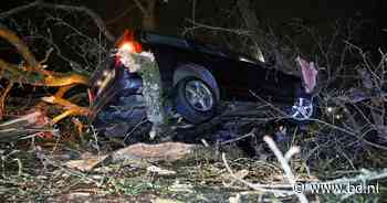 Auto rijdt tegen omgevallen boom op N65 bij Haaren, weg in beide richtingen dicht - BD.nl