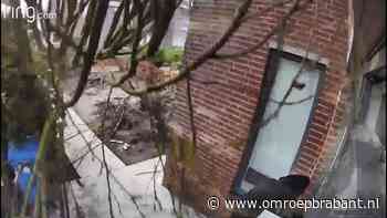 Bizarre beelden: boom waait om en mist op het nippertje deze man - Omroep Brabant