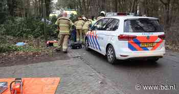 Vrouw belandt onder boom en raakt zwaargewond in Boekel - BD.nl